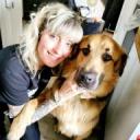 Articles de harmonimalgmailcom