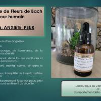Peur humain