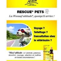 Rescue5