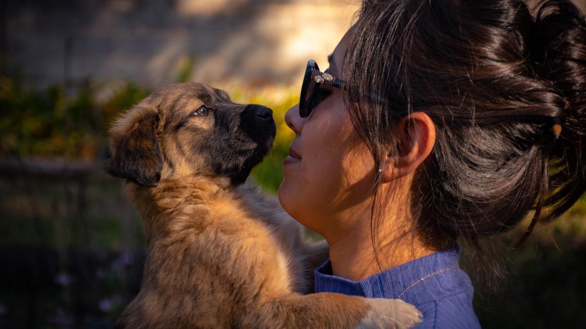 L’ANTHROPOMORPHISME